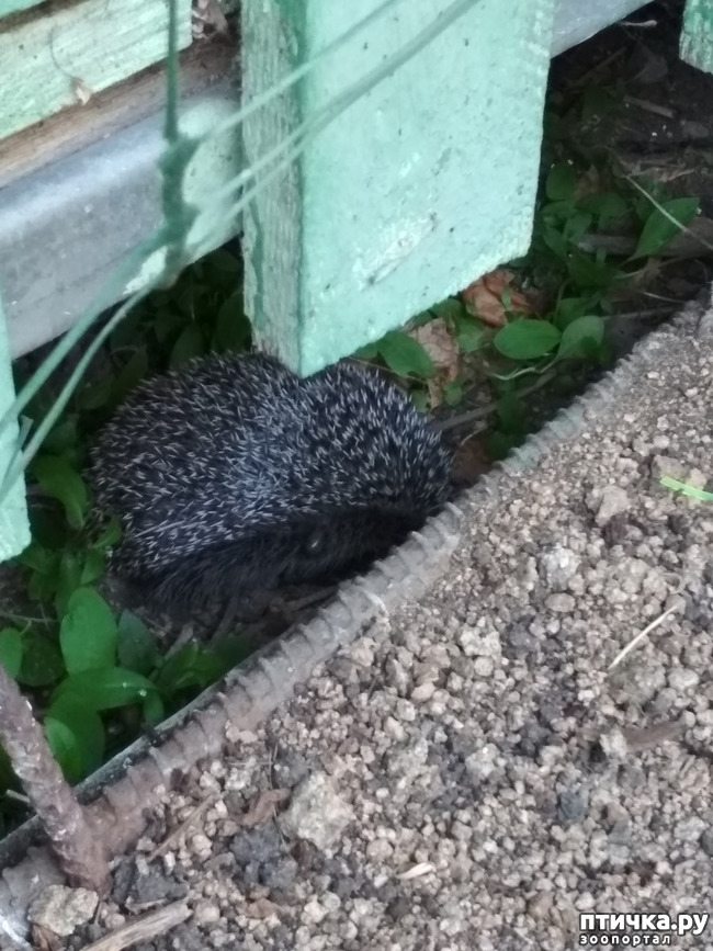 ���� 5: ������� � ����� � ����