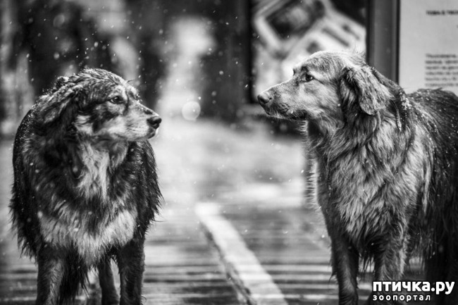 ���� 1: �������������� ��������������