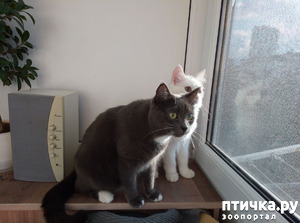 ����: ������ �����������!