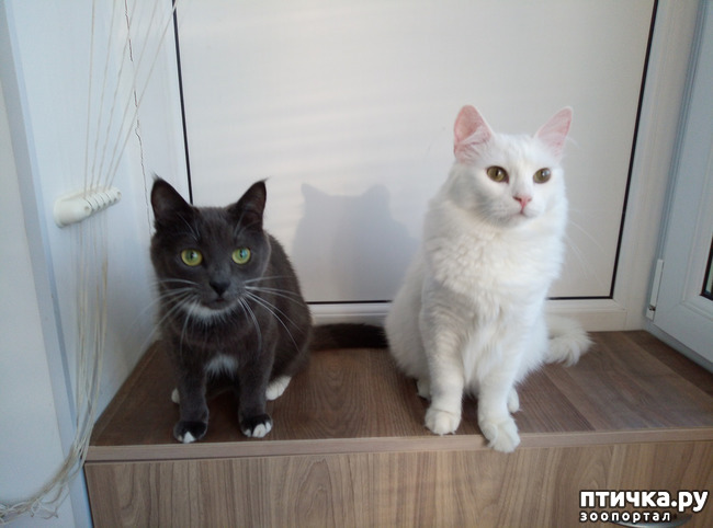 ���� 2: ������ �����������!