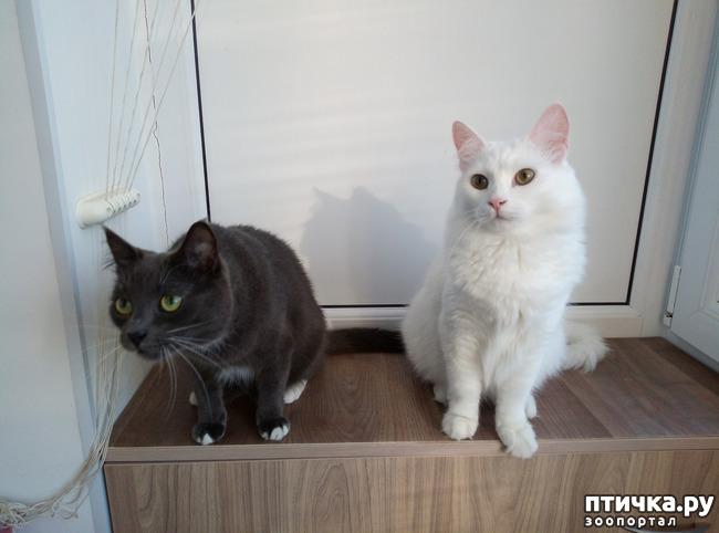 ���� 3: ������ �����������!