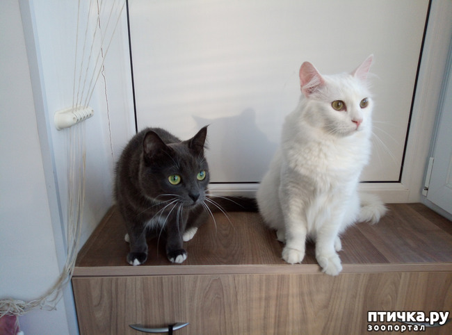 ���� 4: ������ �����������!