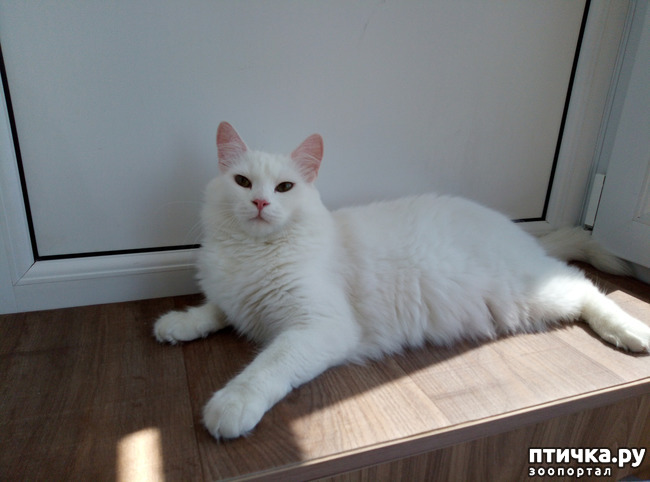 ���� 5: ������ �����������!