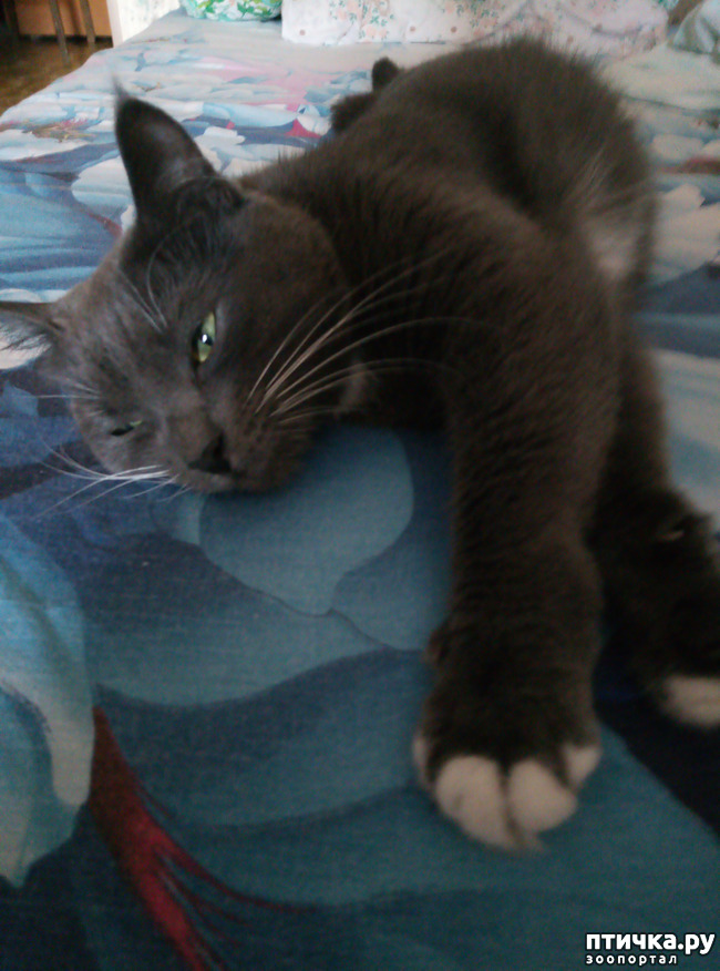 ���� 6: ������ �����������!