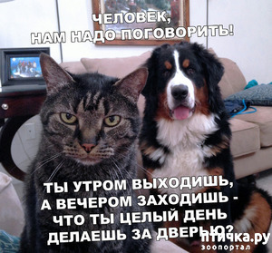 ����: ������� �����