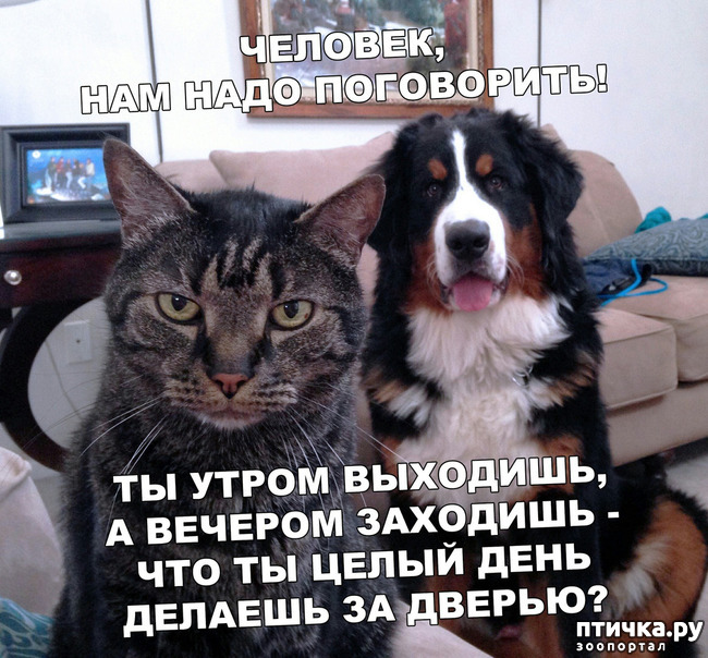 ���� 1: ������� �����