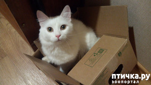 ����: ���� � �������