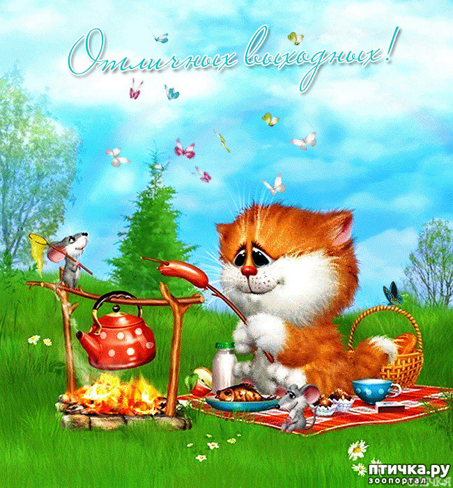 ���� 6: ����� ��������?