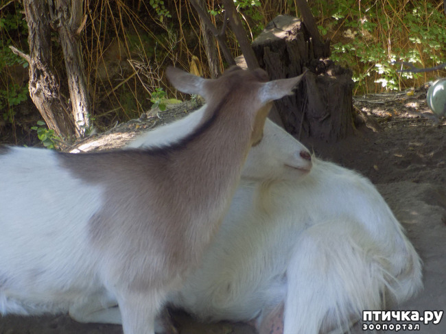 ���� 12: ������� �� �������