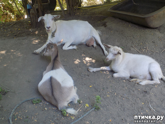 ���� 13: ������� �� �������