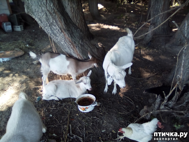 ���� 15: ������� �� �������