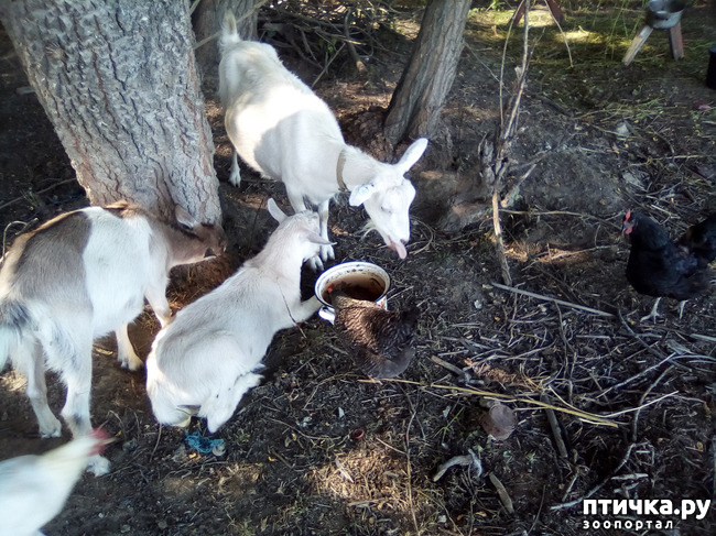 ���� 16: ������� �� �������