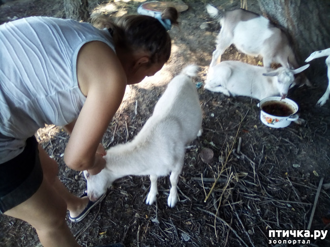 ���� 17: ������� �� �������