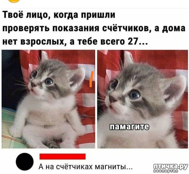 ���� 1: ������� �����