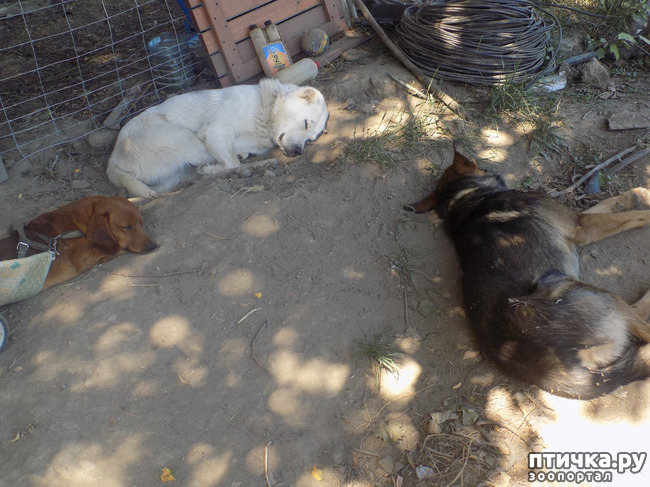 ���� 18: ������� �� �������