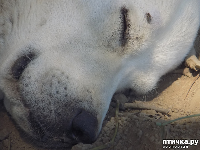 ���� 19: ������� �� �������