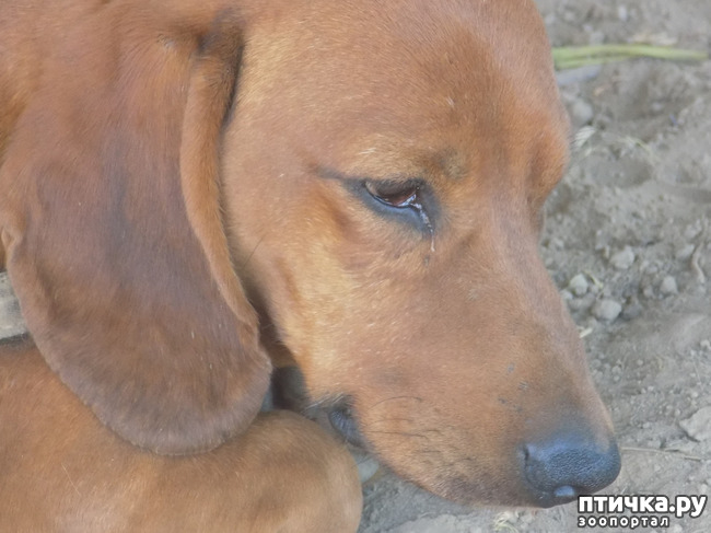 ���� 20: ������� �� �������