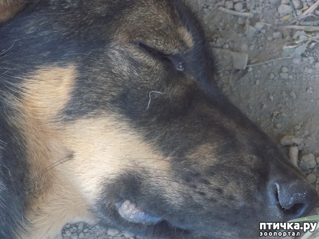 ���� 21: ������� �� �������