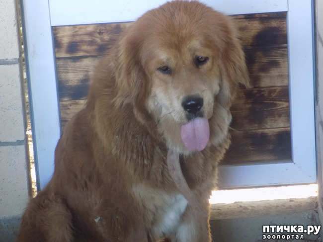 ���� 22: ������� �� �������