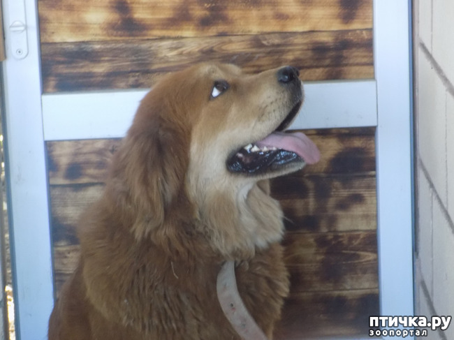 ���� 23: ������� �� �������