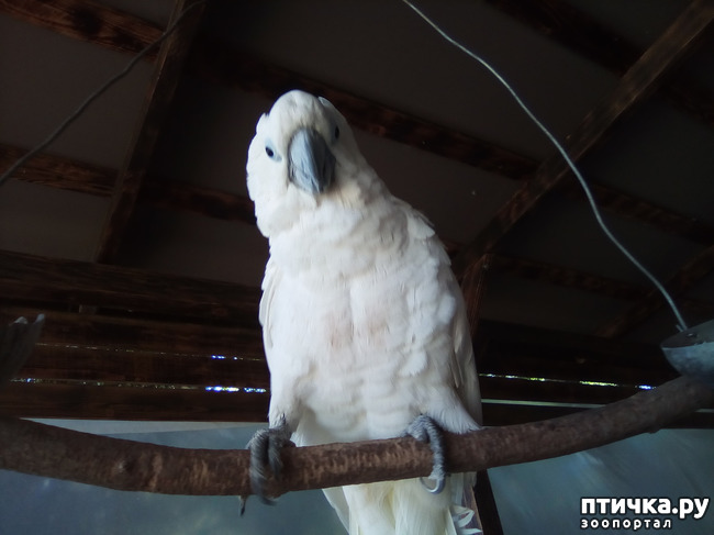 ���� 24: ������� �� �������