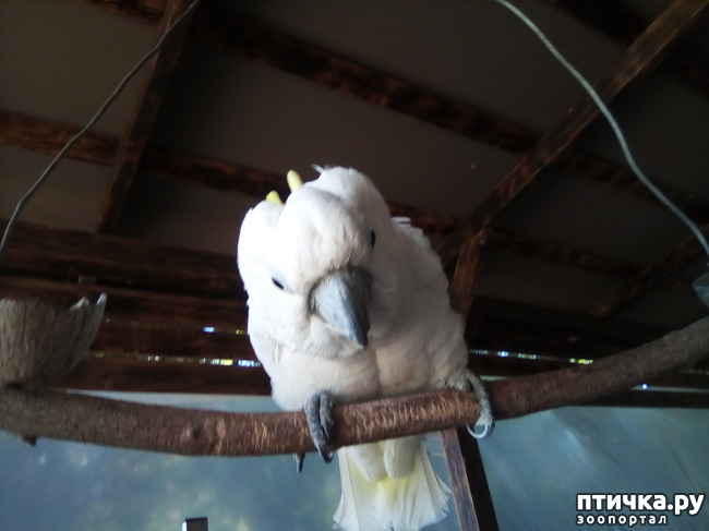 ���� 25: ������� �� �������