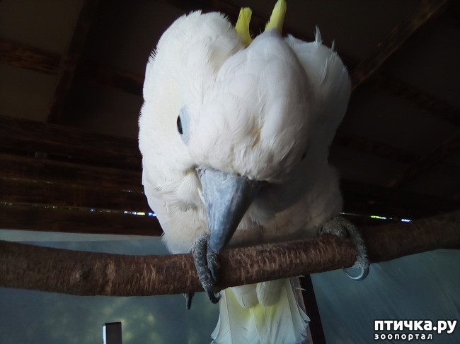 ���� 26: ������� �� �������