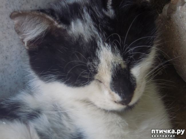 ���� 28: ������� �� �������