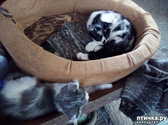 ���� 30: ������� �� �������