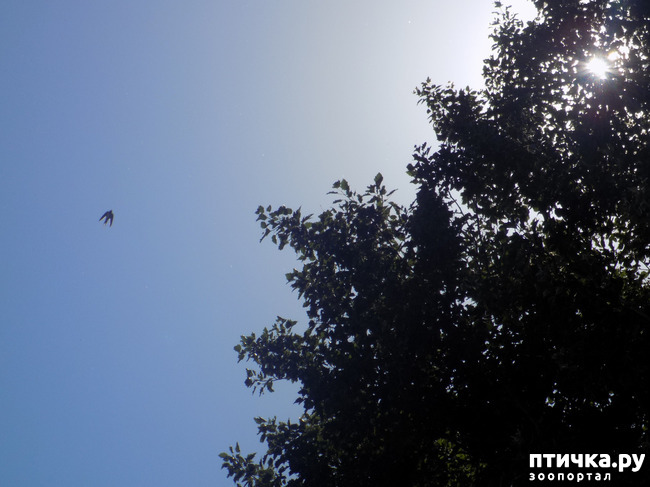 ���� 2: ������� �� �������