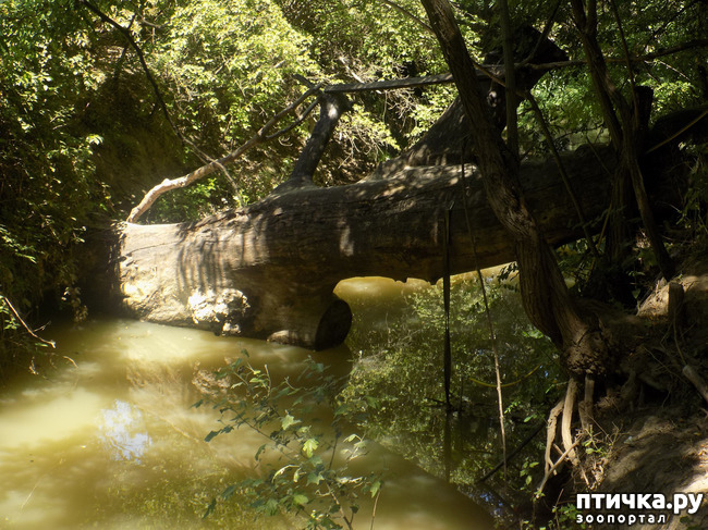 ���� 3: ������� �� �������