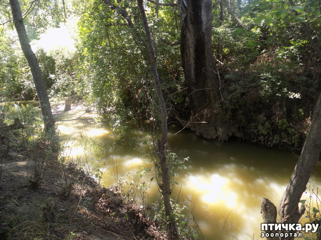 ���� 4: ������� �� �������