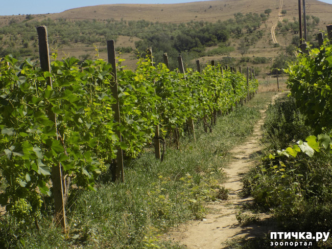 ���� 5: ������� �� �������