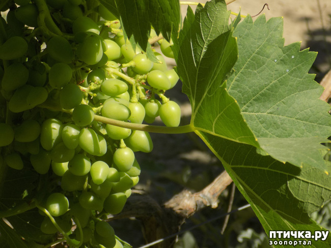 ���� 6: ������� �� �������