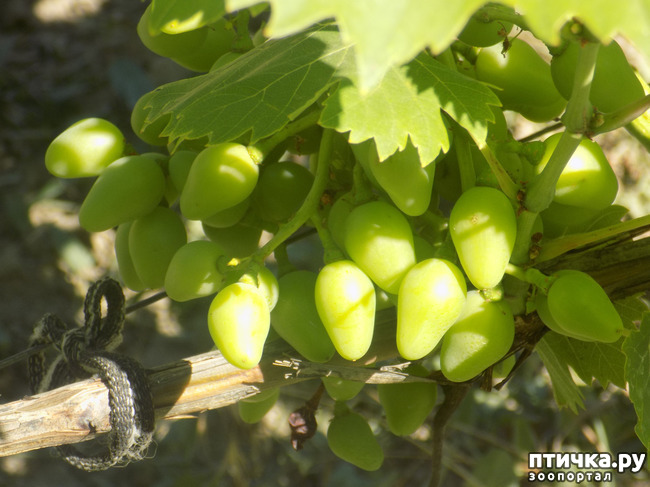 ���� 7: ������� �� �������