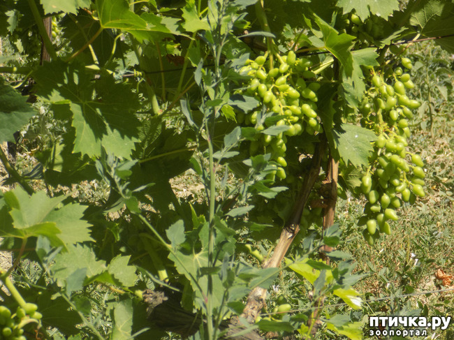 ���� 9: ������� �� �������