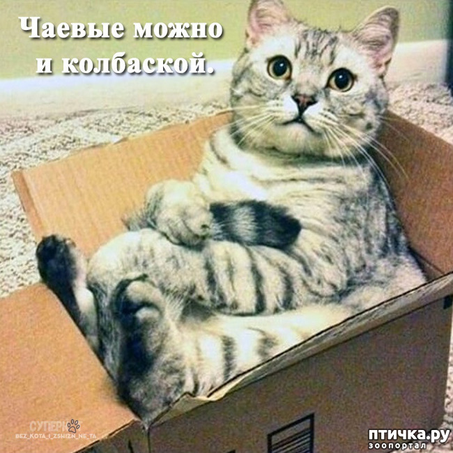 ���� 3: ����� ��������?