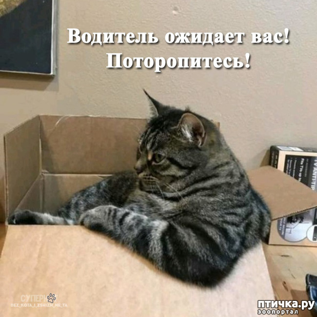 ���� 4: ����� ��������?