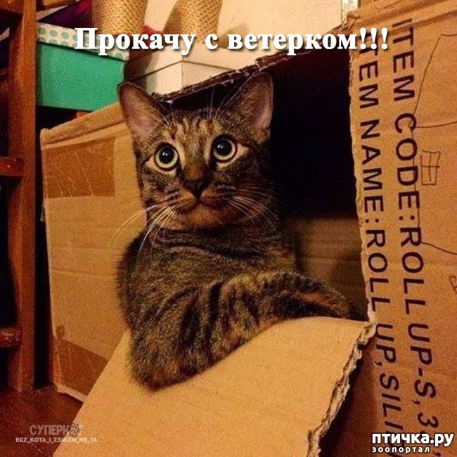 ���� 5: ����� ��������?