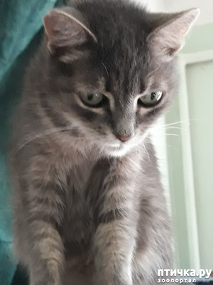 ����: ��������� �������� "�������� �� ���������"