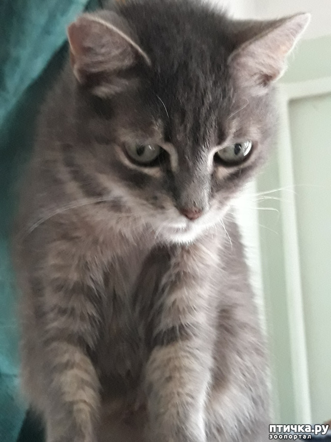 ���� 1: ��������� �������� 