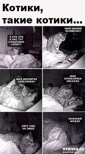 ����: ���� �������� ���!