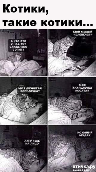 ���� 1: ���� �������� ���!