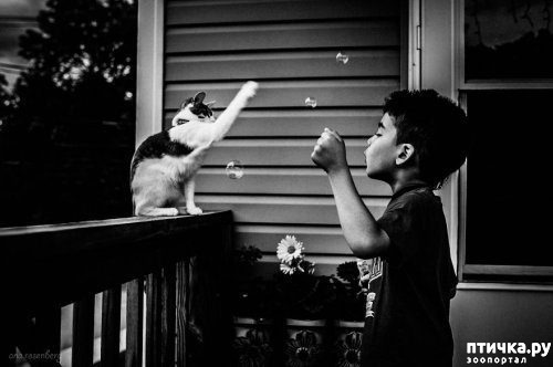 ���� 2: ���������� � �����������.