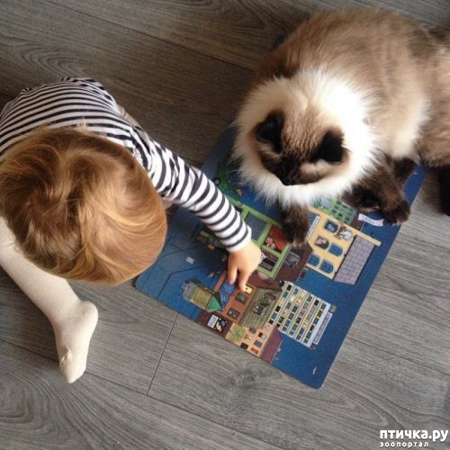 ���� 3: ���������� � �����������.