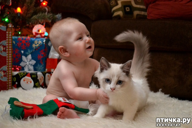 ���� 4: ���������� � �����������.