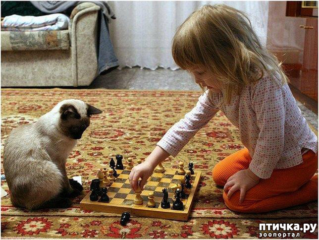 ���� 6: ���������� � �����������.