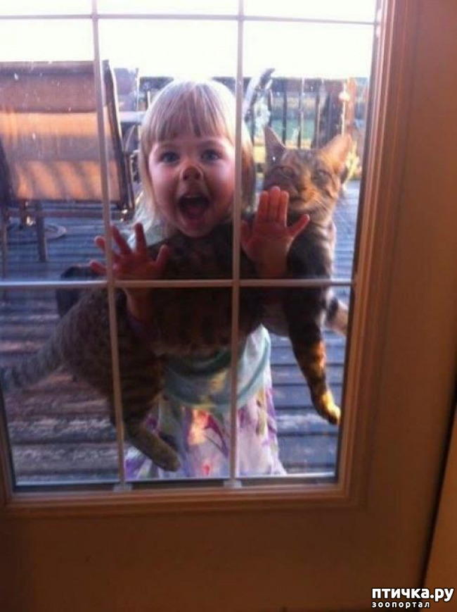 ���� 7: ���������� � �����������.