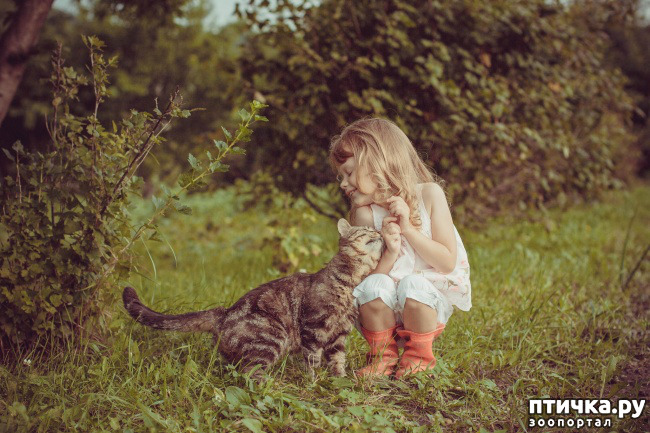 ���� 9: ���������� � �����������.