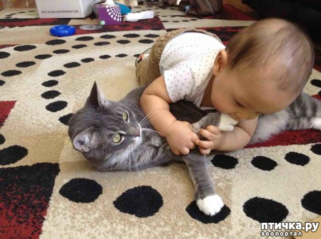 ���� 10: ���������� � �����������.